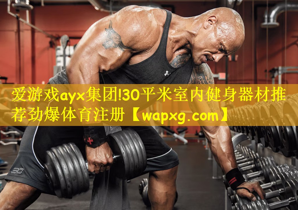 爱游戏ayx集团!30平米室内健身器材推荐劲爆体育注册