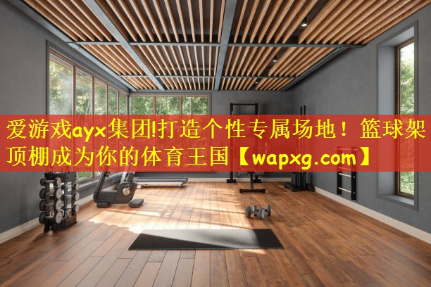 爱游戏ayx集团!打造个性专属场地!篮球架顶棚成为你的体育王国