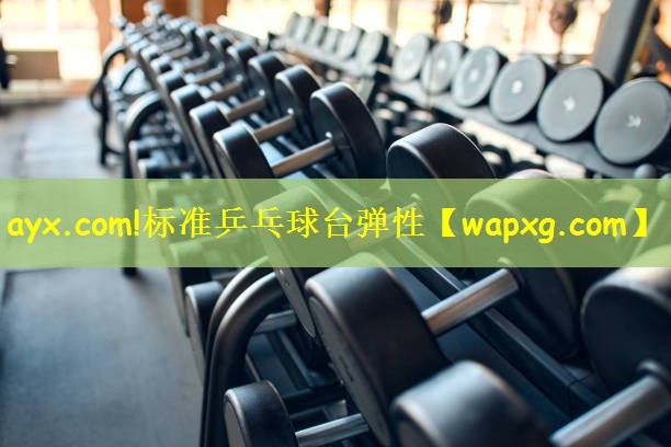 ayx.com!标准乒乓球台弹性