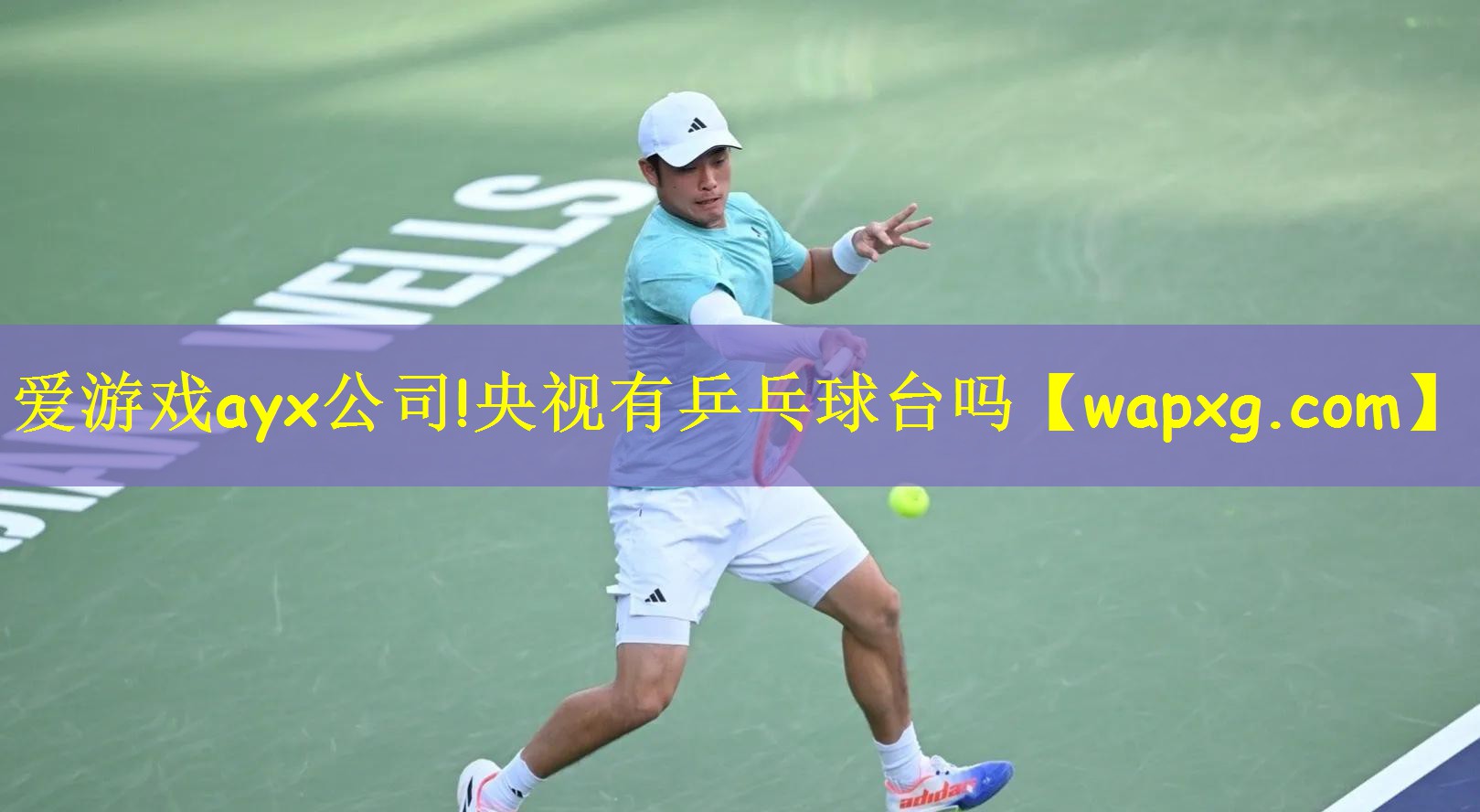 央视有乒乓球台吗