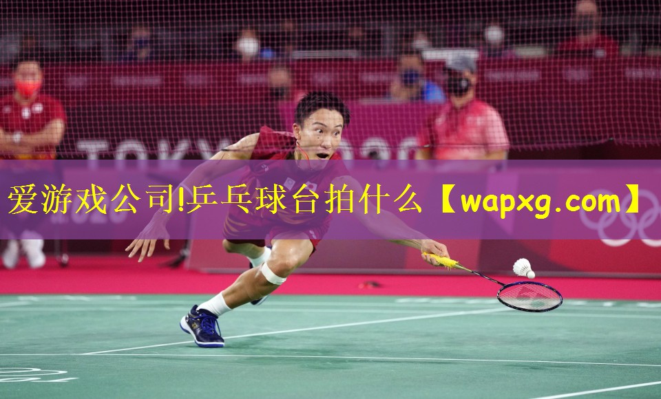 乒乓球台拍什么