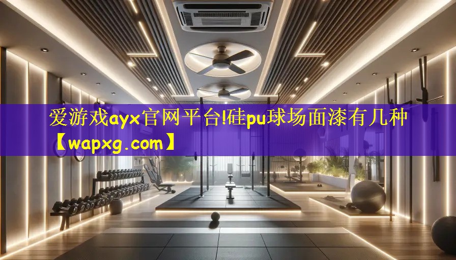 爱游戏ayx官网平台!硅pu球场面漆有几种