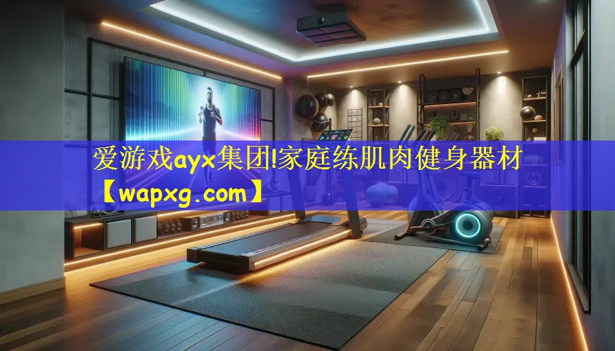 爱游戏ayx集团!家庭练肌肉健身器材