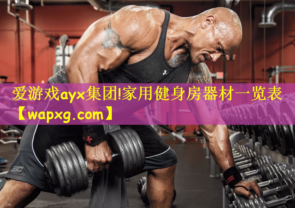 爱游戏ayx集团!家用健身房器材一览表