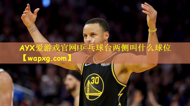 乒乓球台两侧叫什么球位